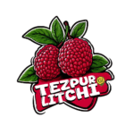 Fresh Tezpur Litchi harvested in Assam orchards – juicy and sweet premium litchis